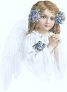 annesangels