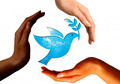 Misty Reigns